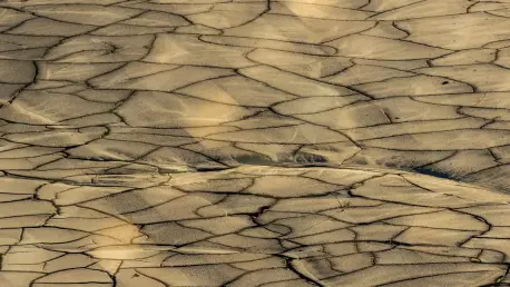 ¿Cómo El Deporte Puede Combatir La Desertificación Global?