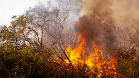 ¿Cómo Afecta el Cambio Climático el Clima de Málaga?