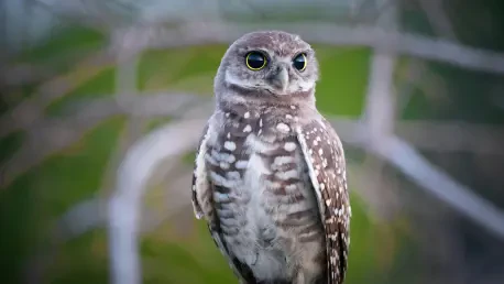 ¿Eran Las Aves del Terror Cazadores o Presas?